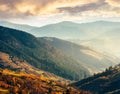 Beautiful afternoon in mountains Royalty Free Stock Photo