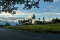 Beautiful afternoon in the rice fields Royalty Free Stock Photo