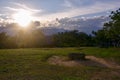 Beautiful afternoon in the rice fields Royalty Free Stock Photo