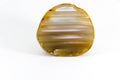 Beautiful Agate cut on white background Royalty Free Stock Photo