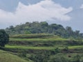 Beautiful agricultural fields in kerala, India.