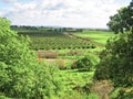 A beautiful agricutural landscape