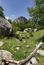 The beautiful Aiguestortes i Estany de Sant Maurici National Park of the Spanish Pyrenees mountain in Catalonia Royalty Free Stock Photo