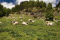 The beautiful Aiguestortes i Estany de Sant Maurici National Park of the Spanish Pyrenees mountain in Catalonia Royalty Free Stock Photo