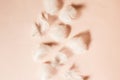 Beautiful Airy Gentle Natural Background With White Swan Feathers. Light Pastel Pink Backdrop For Women`s Day, Valentines, Mother