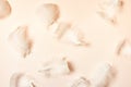 Beautiful Airy Gentle Natural Background With White Swan Feathers Macro. Light Pastel Pink Backdrop. Creative Layout For Women`s