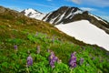 Beautiful Alaskan mountains and landscape in summertime