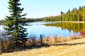 BEAUTIFUL ALBERTA POND Royalty Free Stock Photo