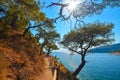Beautiful Aliki beach, Thassos island, Greece Royalty Free Stock Photo