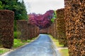 Beautiful alley of the Atomium park Royalty Free Stock Photo