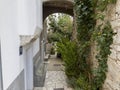 Beautiful alley in Cres town with plants