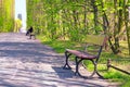 Beautiful alley with empty bench in the park Royalty Free Stock Photo