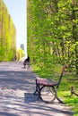 Beautiful alley with empty bench in the park Royalty Free Stock Photo