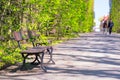 Beautiful alley with empty bench in the park Royalty Free Stock Photo