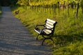 a beautiful alley with a little vineyard in the evening sun on a fine day in May on Mainau island (Germany)