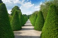 Beautiful alley in park