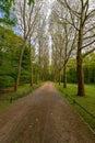 Beautiful alley in the park. Berlin. Royalty Free Stock Photo