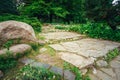 Beautiful Alley In Park. Garden Landscaping Design