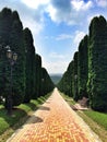 A beautiful alley planted with the slim cypress trees