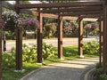 Beautiful alley in a summer park with blooming petunias and hydrangea flowers, wooden archway, paths Royalty Free Stock Photo