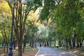 Beautiful alley with trees in Romanescu park on a sunny day, Craiova City, Romania Royalty Free Stock Photo