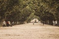 Beautiful alley with wide road and trees and walking people. Walking people and dogs in park. Avenue with crown of tree leaves. Royalty Free Stock Photo