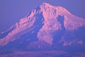 Beautiful pink alpen glow of Mount hood