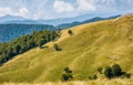 Beautiful alpine grassy meadow in Carpathians Royalty Free Stock Photo