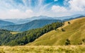 Beautiful alpine grassy meadow in Carpathians Royalty Free Stock Photo