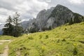 Beautiful alpine landschape with small bushes, grass and pine trees. Mountains in the background. Royalty Free Stock Photo