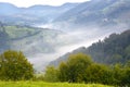 Beautiful alpine meadow with green grass. sunrise. landscape on wild transylvania hills. Holbav. Romania. Royalty Free Stock Photo