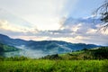 The Beautiful alpine meadow with green grass. sunrise. landscape on wild transylvania hills. Holbav. Romania. Low key, dark backgr Royalty Free Stock Photo