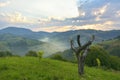 The Beautiful alpine meadow with green grass. sunrise. landscape on wild transylvania hills. Holbav. Romania. Low key, dark backgr Royalty Free Stock Photo