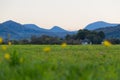 Beautiful alpine meadow in a mountain valley at sunset Royalty Free Stock Photo