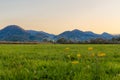 Beautiful alpine meadow in a mountain valley at sunset Royalty Free Stock Photo