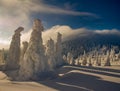 Beautiful alpine panoramic view snow capped mountains, European beautiful winter mountains Royalty Free Stock Photo