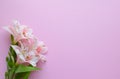 Beautiful Alstroemeria flowers. Pink flowers and green leaves on pink background. Peruvian Lily. Top view with space for text Royalty Free Stock Photo