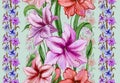 Beautiful amaryllis flowers with leaves in straight lines on green background. Seamless floral pattern. Watercolor painting. Royalty Free Stock Photo