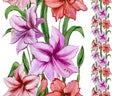 Beautiful amaryllis flowers with leaves in straight lines on white background. Seamless floral pattern. Watercolor painting. Royalty Free Stock Photo