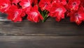 Beautiful Amaryllis flowers on wooden background, top view