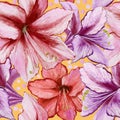 Beautiful amaryllis flowers on yellow background with dots. Seamless spring pattern. Watercolor painting.