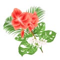 Beautiful Amaryllis red tropical flower and monstera and palm on white background vintage vector illustration editable