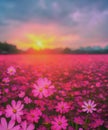 Beautiful and amazing of cosmos flower field landscape in sunset. nature wallpaper background Royalty Free Stock Photo