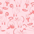 Beautiful, amazing and creative and stylish hand drawn pink cats playng design repeated pattern vector