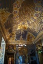 Italy Turin Royal palace Palazzo Madama ceiling of Four Seasons room Royalty Free Stock Photo