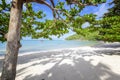 Beautiful amazing incredible tropical beach, white sand, blue sky with clouds and reflection of trees on the sand