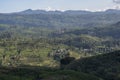 Beautiful amazing landscape of the valley of the tea plantations near the mountains area Royalty Free Stock Photo