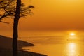 Beautiful amazing yellow sunset landscape with dark wood in foreground. Middle ground of the shore with ocean waves Royalty Free Stock Photo