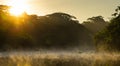 beautiful amazon river in a beautiful cloudy sunrise. Amazon River Colombia, Peru, Ecuador, Brazil