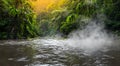 beautiful amazon river with a sunbeam in the background